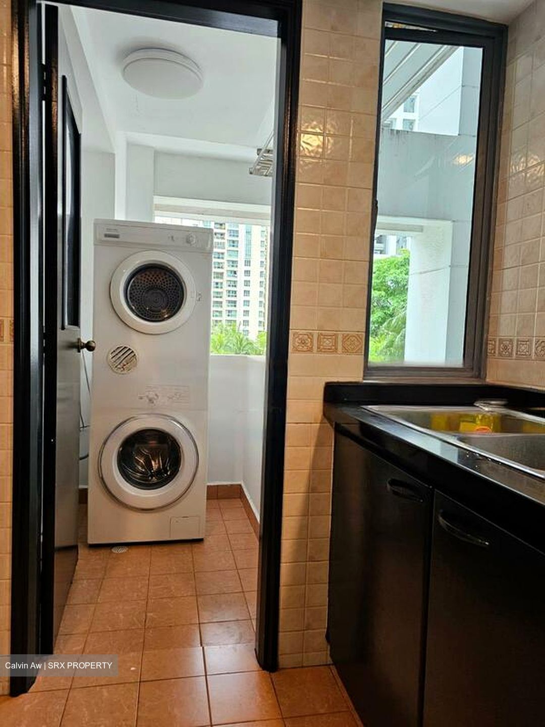 Aquarius By The Park (D16), Condominium #443475261